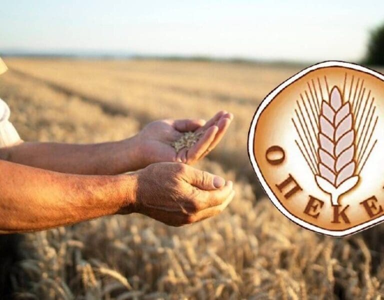 ΟΠΕΚΕΠΕ: Οι Έλληνες εισαγγελείς που ξεσκέπασαν το σκάνδαλο