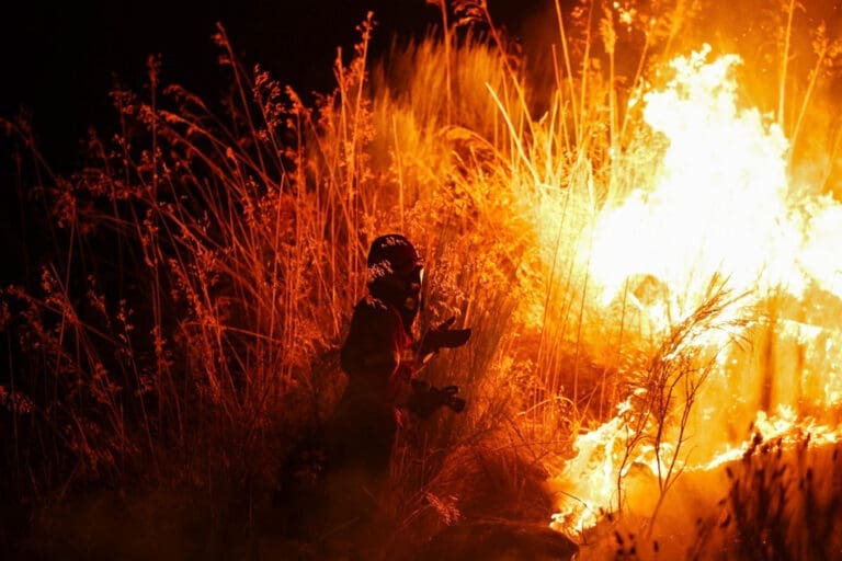 Οι εκπομπές CO2 από τις πυρκαγιές στην Ευρώπη ήταν οι υψηλότερες εδώ και 25 χρόνια